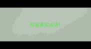 形容真实成语
