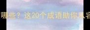 形容人很镇定的成语有哪些这20个成语助你从容应对职场与生活挑战