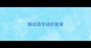 猜成语字谜的答案
