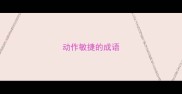 动作敏捷的成语