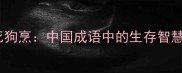 鸟尽弓藏兔死狗烹中国成语中的生存智慧与职场启示