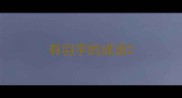 有羽字的成语