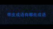 带皮成语有哪些成语