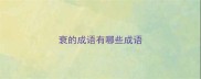 衰的成语有哪些成语