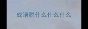成语脱什么什么什么