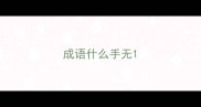成语什么手无