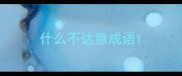 什么不达意成语