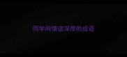 同学间情谊深厚的成语