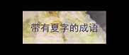 带有夏字的成语