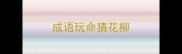 成语玩命猜花柳