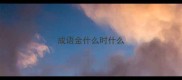 成语金什么时什么