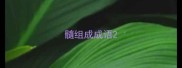 髓组成成语