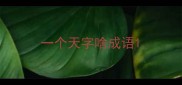 一个天字啥成语