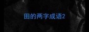 田的两字成语