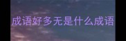 成语好多无是什么成语