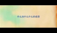 什么池什么什么的成语