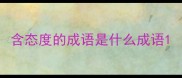 含态度的成语是什么成语
