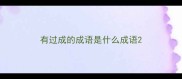 有过成的成语是什么成语