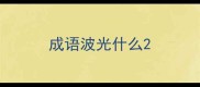 成语波光什么