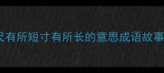 尺有所短寸有所长的意思成语故事