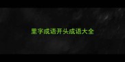 里字成语开头成语大全