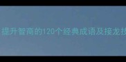 成语接龙趣味学习指南提升智商的120个经典成语及接龙技巧附亲子互动方案