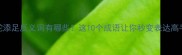画蛇添足反义词有哪些这10个成语让你秒变表达高手