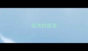 成海的成语