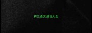 初三语文成语大全