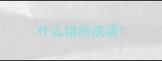 什么错的成语