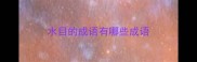 水目的成语有哪些成语