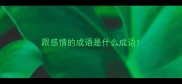 跟感情的成语是什么成语