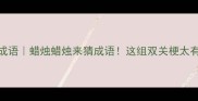 亲子共学成语蜡烛蜡烛来猜成语这组双关梗太有意思了