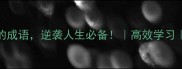 20个努力达成目标的成语逆袭人生必备高效学习个人成长自律技巧