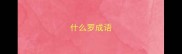 什么罗成语