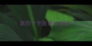 第四个字是青的成语