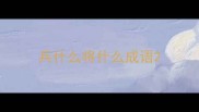 兵什么将什么成语