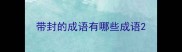 带封的成语有哪些成语