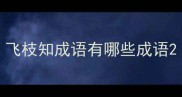 飞枝知成语有哪些成语