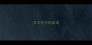其字开头的成语