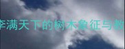 成语桃李满天下的树木象征与教育传承