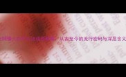全网爆火的什么流成语新解从古至今的流行密码与深层含义