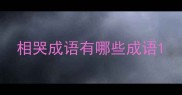 相哭成语有哪些成语