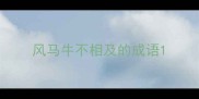 风马牛不相及的成语