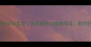 30个关于花朵的成语盘点美到窒息的植物成语看完秒变文化人