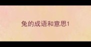 兔的成语和意思