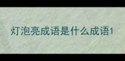 灯泡亮成语是什么成语