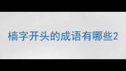 樯字开头的成语有哪些