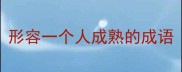 形容一个人成熟的成语