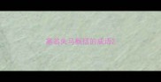 塞翁失马概括的成语